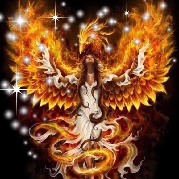 Meet your Posher, Miranda - Picture 1 of 1